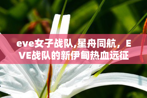 eve女子战队,星舟同航,EVE战队的新伊甸热血远征记 eve女子战队,星舟同航,EVE战队的新伊甸热血远征记