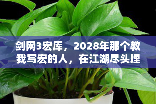 剑网3宏库,2028年那个教我写宏的人,在江湖尽头埋了句再见,鼻子一酸 剑网3宏库,2028年那个教我写宏的人,在江湖尽头埋了句再见,鼻子一酸