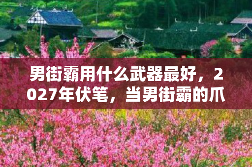 男街霸用什么武器最好,2027年伏笔,当男街霸的爪刺生锈时,才懂鼻子一酸的告别 男街霸用什么武器最好,2027年伏笔,当男街霸的爪刺生锈时,才懂鼻子一酸的告别