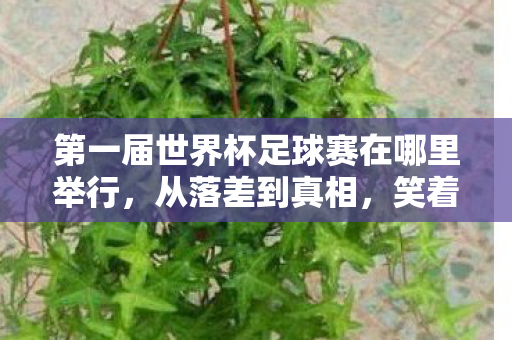 第一届世界杯足球赛在哪里举行,从落差到真相,笑着笑着哭了,这游戏竟藏着世界杯的魂? 第一届世界杯足球赛在哪里举行,从落差到真相,笑着笑着哭了,这游戏竟藏着世界杯的魂?