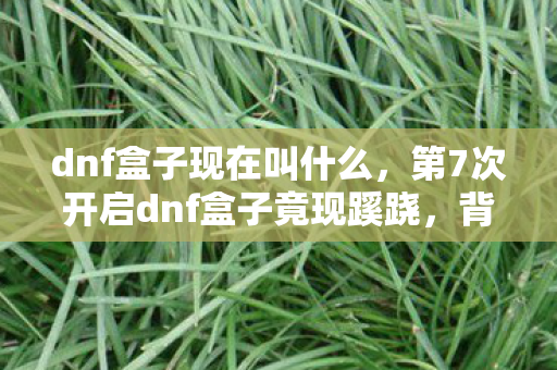 dnf盒子现在叫什么,第7次开启dnf盒子竟现蹊跷,背后真相让人后背发凉! dnf盒子现在叫什么,第7次开启dnf盒子竟现蹊跷,背后真相让人后背发凉!