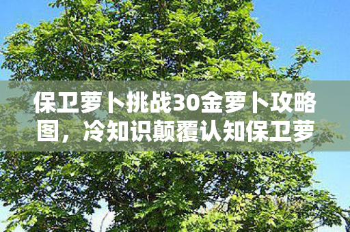 保卫萝卜挑战30金萝卜攻略图,冷知识颠覆认知保卫萝卜42关金萝卜竟靠反向布防?真相让人目瞪口呆! 保卫萝卜挑战30金萝卜攻略图,冷知识颠覆认知保卫萝卜42关金萝卜竟靠反向布防?真相让人目瞪口呆!