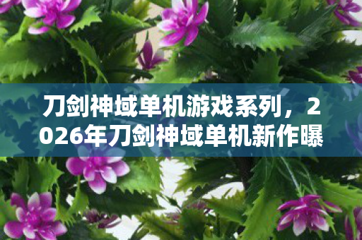 刀剑神域单机游戏系列,2026年刀剑神域单机新作曝光!99层死亡迷宫暗藏惊天反转? 刀剑神域单机游戏系列,2026年刀剑神域单机新作曝光!99层死亡迷宫暗藏惊天反转?