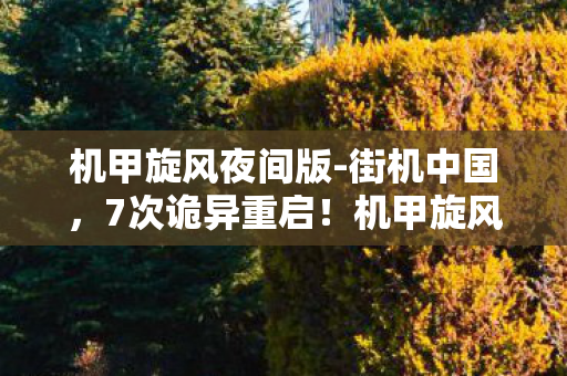 机甲旋风夜间版-街机中国,7次诡异重启!机甲旋风夜间版蹊跷事件,玩家后背发凉真相竟是…… 机甲旋风夜间版-街机中国,7次诡异重启!机甲旋风夜间版蹊跷事件,玩家后背发凉真相竟是……