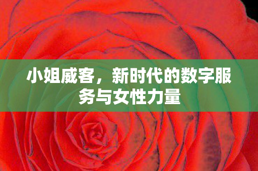 新时代的数字服务与女性力量图片
