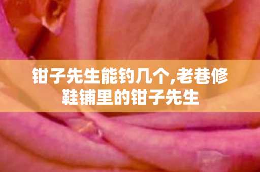 钳子先生能钓几个,老巷修鞋铺里的钳子先生 钳子先生能钓几个,老巷修鞋铺里的钳子先生