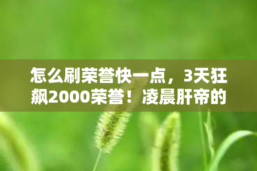 怎么刷荣誉快一点,3天狂飙2000荣誉!凌晨肝帝的泣血攻略,这方法让我差点删号! 怎么刷荣誉快一点,3天狂飙2000荣誉!凌晨肝帝的泣血攻略,这方法让我差点删号!