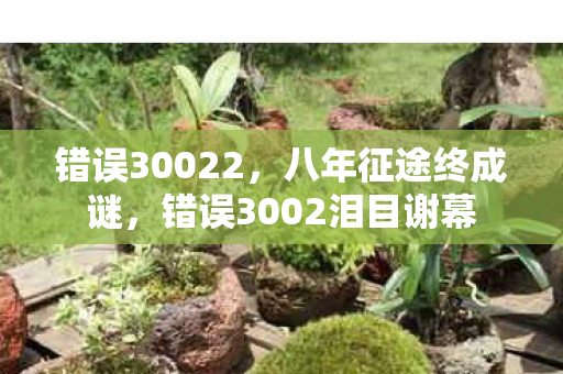 错误30022,八年征途终成谜,错误3002泪目谢幕 错误30022,八年征途终成谜,错误3002泪目谢幕