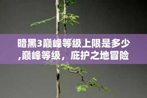 暗黑3巅峰等级上限是多少,巅峰等级,庇护之地冒险者的成长印记 暗黑3巅峰等级上限是多少,巅峰等级,庇护之地冒险者的成长印记