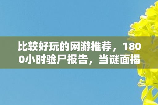 比较好玩的网游推荐,1800小时验尸报告,当谜面揭开时,全服玩家在泪目中集体下线 比较好玩的网游推荐,1800小时验尸报告,当谜面揭开时,全服玩家在泪目中集体下线