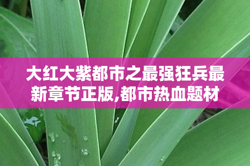 大红大紫都市之最强狂兵最新章节正版,都市热血题材佳作新篇速递,传奇兵王的市井守护日常 大红大紫都市之最强狂兵最新章节正版,都市热血题材佳作新篇速递,传奇兵王的市井守护日常