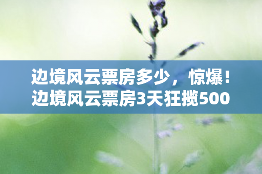 边境风云票房多少，惊爆！边境风云票房3天狂揽5000万，观影体验直呼过瘾！