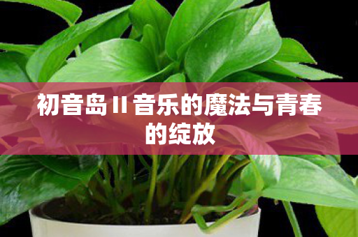 初音岛Ⅱ音乐的魔法与青春的绽放图片