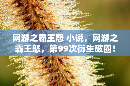 网游之霸王怒 小说，网游之霸王怒，第99次衍生破圈！当游戏代码爬上高定秀场，这波联名意想不到