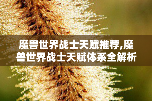 魔兽世界战士天赋推荐,魔兽世界战士天赋体系全解析，不同场景下的最优选择思路