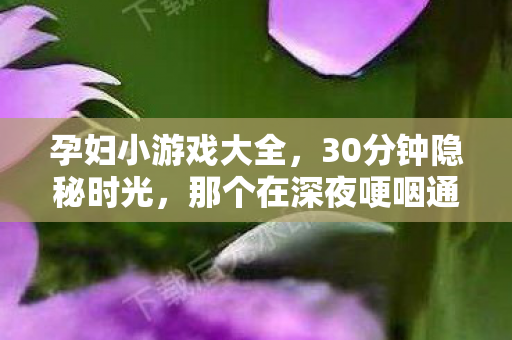 孕妇小游戏大全，30分钟隐秘时光，那个在深夜哽咽通关的孕妇小游戏
