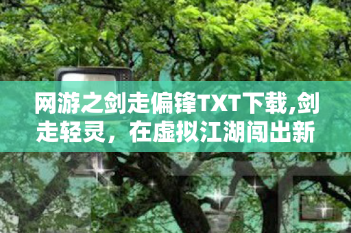 网游之剑走偏锋TXT下载,剑走轻灵，在虚拟江湖闯出新路