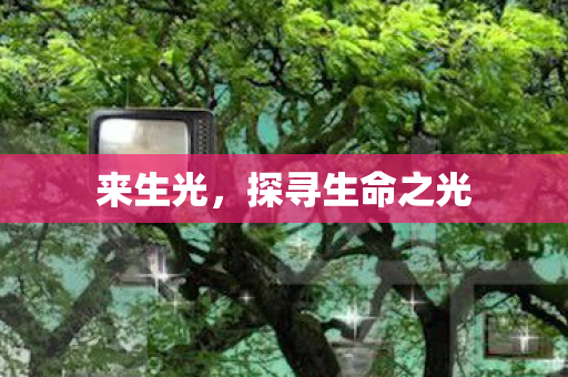 探寻生命之光图片