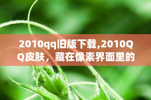 2010qq旧版下载,2010QQ皮肤，藏在像素界面里的青春小确幸