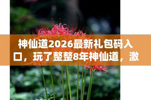 神仙道2026最新礼包码入口，玩了整整8年神仙道，激活码之谜，要继续坚守还是转身离开？