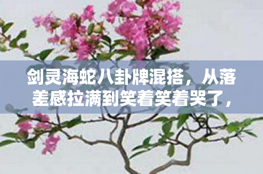 剑灵海蛇八卦牌混搭，从落差感拉满到笑着笑着哭了，剑灵海蛇八卦牌的真相，谁懂啊！