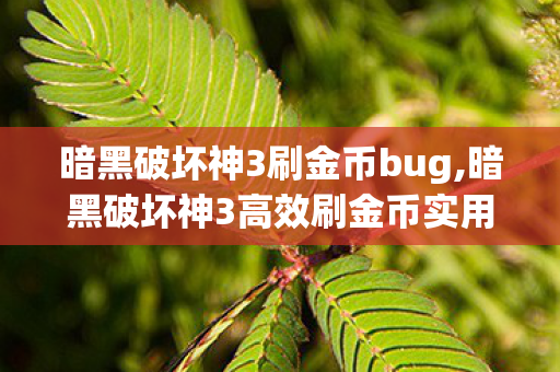 暗黑破坏神3刷金币bug,暗黑破坏神3高效刷金币实用指南，老玩家私藏的省心技巧