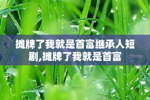 摊牌了我就是首富继承人短剧,摊牌了我就是首富