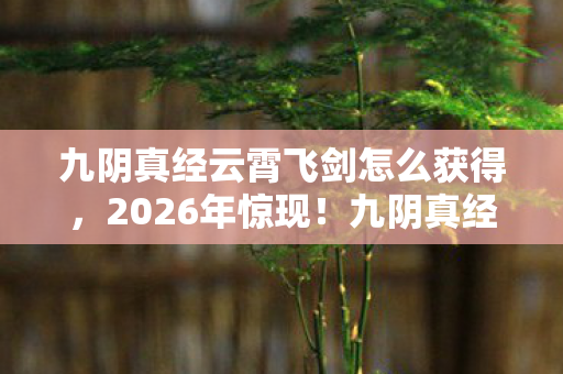 九阴真经云霄飞剑怎么获得，2026年惊现！九阴真经云霄飞剑现世，第1位掌握者竟是他？