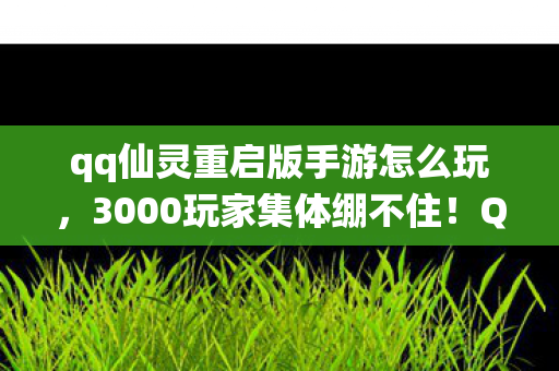 qq仙灵重启版手游怎么玩,3000玩家集体绷不住!QQ仙灵活力恢复竟藏着网吧血泪史? qq仙灵重启版手游怎么玩,3000玩家集体绷不住!QQ仙灵活力恢复竟藏着网吧血泪史?