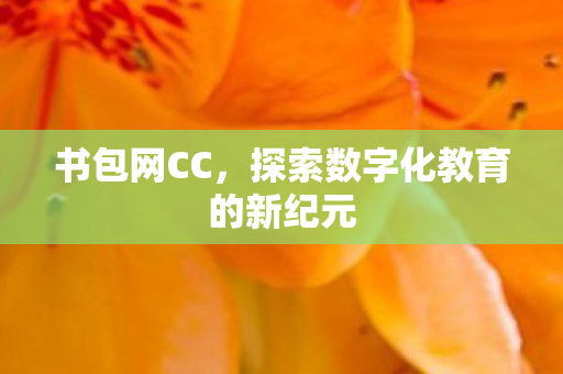 探索数字化教育的新纪元图片