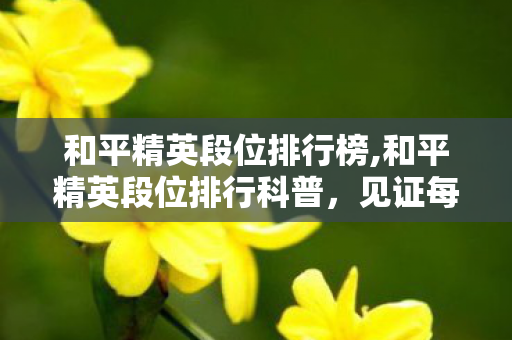 和平精英段位排行榜,和平精英段位排行科普,见证每一位玩家的竞技成长轨迹 和平精英段位排行榜,和平精英段位排行科普,见证每一位玩家的竞技成长轨迹