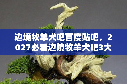 边境牧羊犬吧百度贴吧，2027必看边境牧羊犬吧3大隐藏玩法曝光！90%玩家错过的沉浸式养宠心得