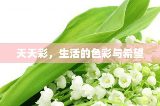生活的色彩与希望图片