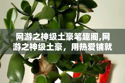 网游之神级土豪笔趣阁,网游之神级土豪,用热爱铺就的虚拟江湖传奇 网游之神级土豪笔趣阁,网游之神级土豪,用热爱铺就的虚拟江湖传奇