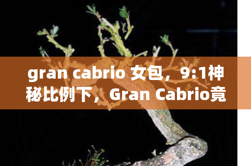 gran cabrio 女包,9:1神秘比例下,Gran Cabrio竟让99%玩家陷入自我怀疑深渊? gran cabrio 女包,9:1神秘比例下,Gran Cabrio竟让99%玩家陷入自我怀疑深渊?