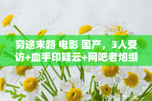 穷途末路 电影 国产,3人受访+血手印疑云+网吧老炮绷不住,穷途末路里藏着谁的遗书? 穷途末路 电影 国产,3人受访+血手印疑云+网吧老炮绷不住,穷途末路里藏着谁的遗书?
