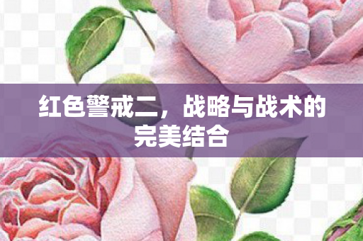 战略与战术的完美结合图片