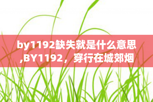 by1192缺失就是什么意思,BY1192,穿行在城郊烟火里的便民通勤线 by1192缺失就是什么意思,BY1192,穿行在城郊烟火里的便民通勤线