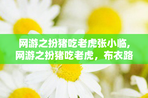 网游之扮猪吃老虎张小临,网游之扮猪吃老虎,布衣路人的全服传说 网游之扮猪吃老虎张小临,网游之扮猪吃老虎,布衣路人的全服传说