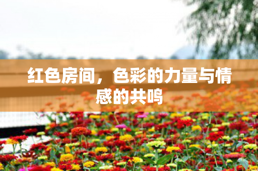 色彩的力量与情感的共鸣图片