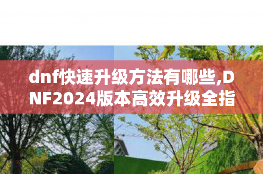 dnf快速升级方法有哪些,DNF2024版本高效升级全指南,普通玩家也能快速满级的实用技巧 dnf快速升级方法有哪些,DNF2024版本高效升级全指南,普通玩家也能快速满级的实用技巧