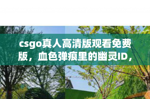 csgo真人高清版观看免费版,血色弹痕里的幽灵ID,CSGO真人版悬案,谁在暗处操控生死? csgo真人高清版观看免费版,血色弹痕里的幽灵ID,CSGO真人版悬案,谁在暗处操控生死?