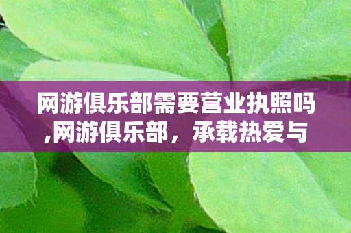 网游俱乐部需要营业执照吗,网游俱乐部,承载热爱与烟火气的青春同好聚集地 网游俱乐部需要营业执照吗,网游俱乐部,承载热爱与烟火气的青春同好聚集地