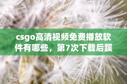 csgo高清视频免费播放软件有哪些,第7次下载后蹊跷现身,这款软件竟让我后背发凉! csgo高清视频免费播放软件有哪些,第7次下载后蹊跷现身,这款软件竟让我后背发凉!