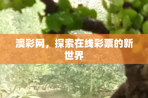 探索在线彩票的新世界图片