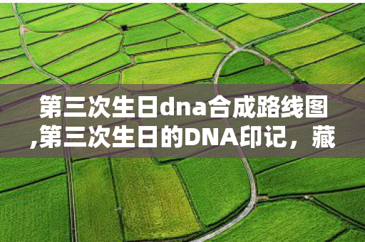 第三次生日dna合成路线图,第三次生日的DNA印记，藏在成长刻度里的专属生命浪漫