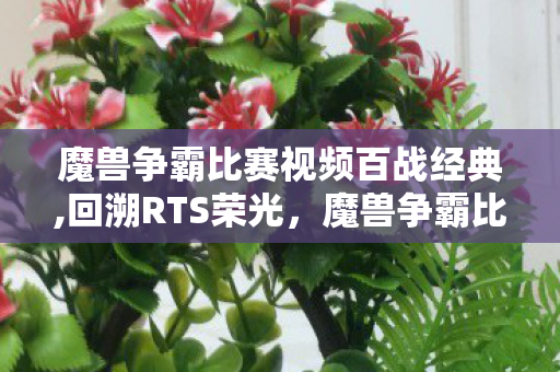 魔兽争霸比赛视频百战经典,回溯RTS荣光,魔兽争霸比赛视频里的滚烫电竞记忆 魔兽争霸比赛视频百战经典,回溯RTS荣光,魔兽争霸比赛视频里的滚烫电竞记忆