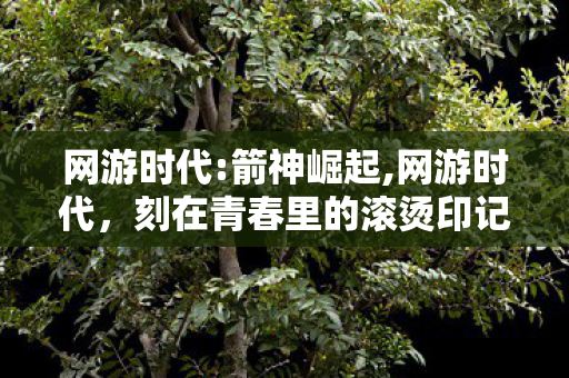 网游时代:箭神崛起,网游时代,刻在青春里的滚烫印记 网游时代:箭神崛起,网游时代,刻在青春里的滚烫印记