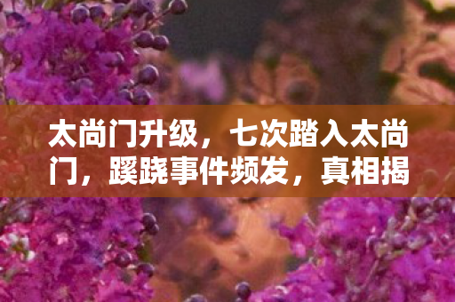 太尚门升级，七次踏入太尚门，蹊跷事件频发，真相揭晓后背发凉！