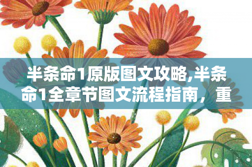 半条命1原版图文攻略,半条命1全章节图文流程指南，重温黑山基地的传奇冒险